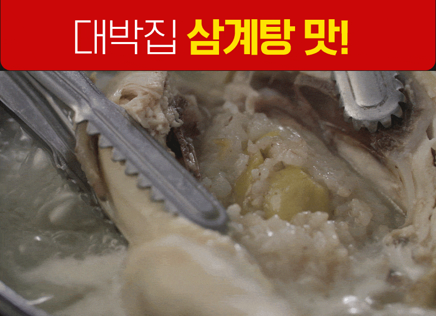 조리기능장 임성근의 진 삼계탕 8팩 | 홈쇼핑모아 [NS홈쇼핑샵플러스] 조리기능장 임성근의 진 삼계탕 8팩