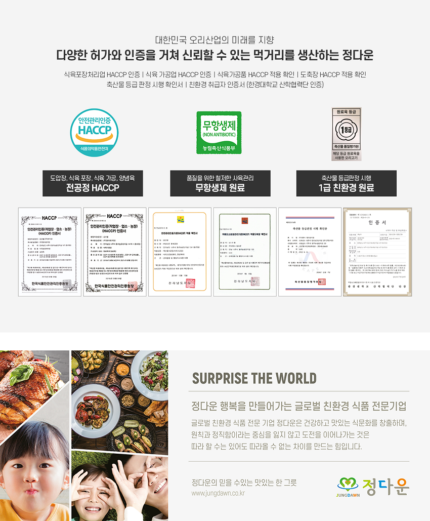정다운 닭가슴살 5가지 맛100g*10팩 - NS홈쇼핑